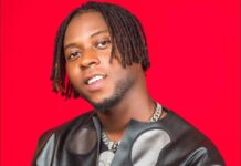 Gambian Music Star Aya Granted $50,000 Bail in Wisconsin Arson Case