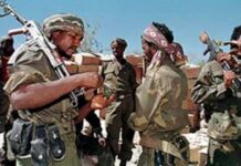 Who is driving diplomacy in the Horn of Africa and the Red Sea, and why?