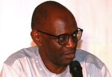 Historian Hassoum Ceesay Elected International Fellow of the British Academy
