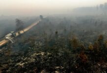 Belgium’s largest wildfire on record spreads towards German border