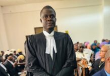 From School Dropout to Gambian Barrister: Edrisa Janko’s Triumph of Resilience