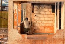 Mali says 82 soldiers captured by armed groups have been freed