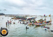 Grand Magal of Touba Disrupts Gambian Markets, Fishing and Transport as Pilgrims Head to Senegal