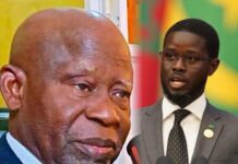 UDP Chief Seeks President Faye’s Intervention in Border Farming Crisis