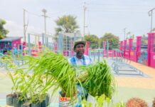 From Carpenter to Crop Pioneer: Gambian Farmer Proves ‘Nothing Is Impossible’