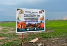 GIRAV Project Advances Solar Irrigation for Year-Round Rice Production in The Gambia