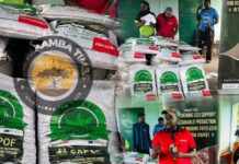 ActionAid Distributes Organic Fertilizer to 250 Farmers in Niamina East