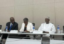 NDI Warns Hate Speech Could Threaten Gambia’s 2026 Presidential Vote