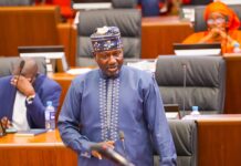 North Bank Roads in Crisis, NAM Saho Tells Assembly