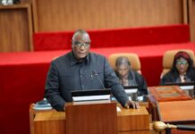 MPs Approve Gambia-Gabon Visa Waiver, Question Why Ordinary Citizens Are Left Out