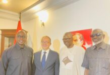 Türkiye and The Gambia Reaffirm Defense Partnership at Victory Day Reception