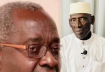Stakeholders Endorse Team Gambia 2026 Coalition Plan After Consultative Report