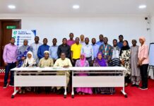 Gambia Standards Bureau Launches National Standards for Maize, Horticulture, and Others