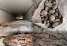 Rights Advocate Calls for Transparency After Shipment of Spoiled Irish Potatoes Denied Entry